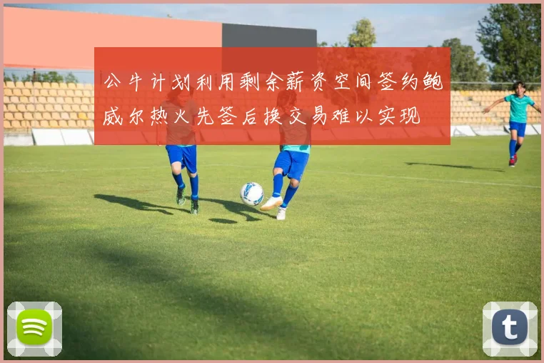 公牛计划利用剩余薪资空间签约鲍威尔热火先签后换交易难以实现